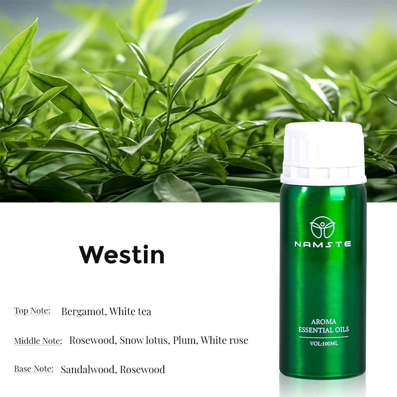 Electric Aromatic Hotel Essential Oil Diffuser