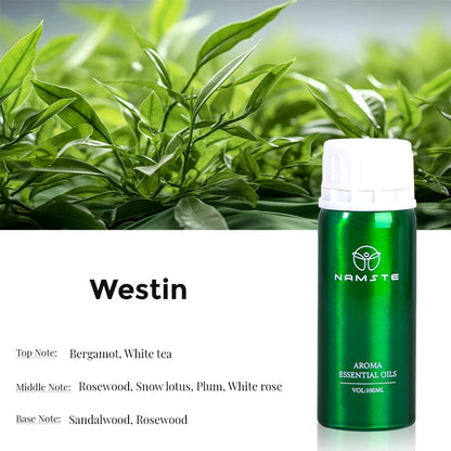 Electric Aromatic Hotel Essential Oil Diffuser