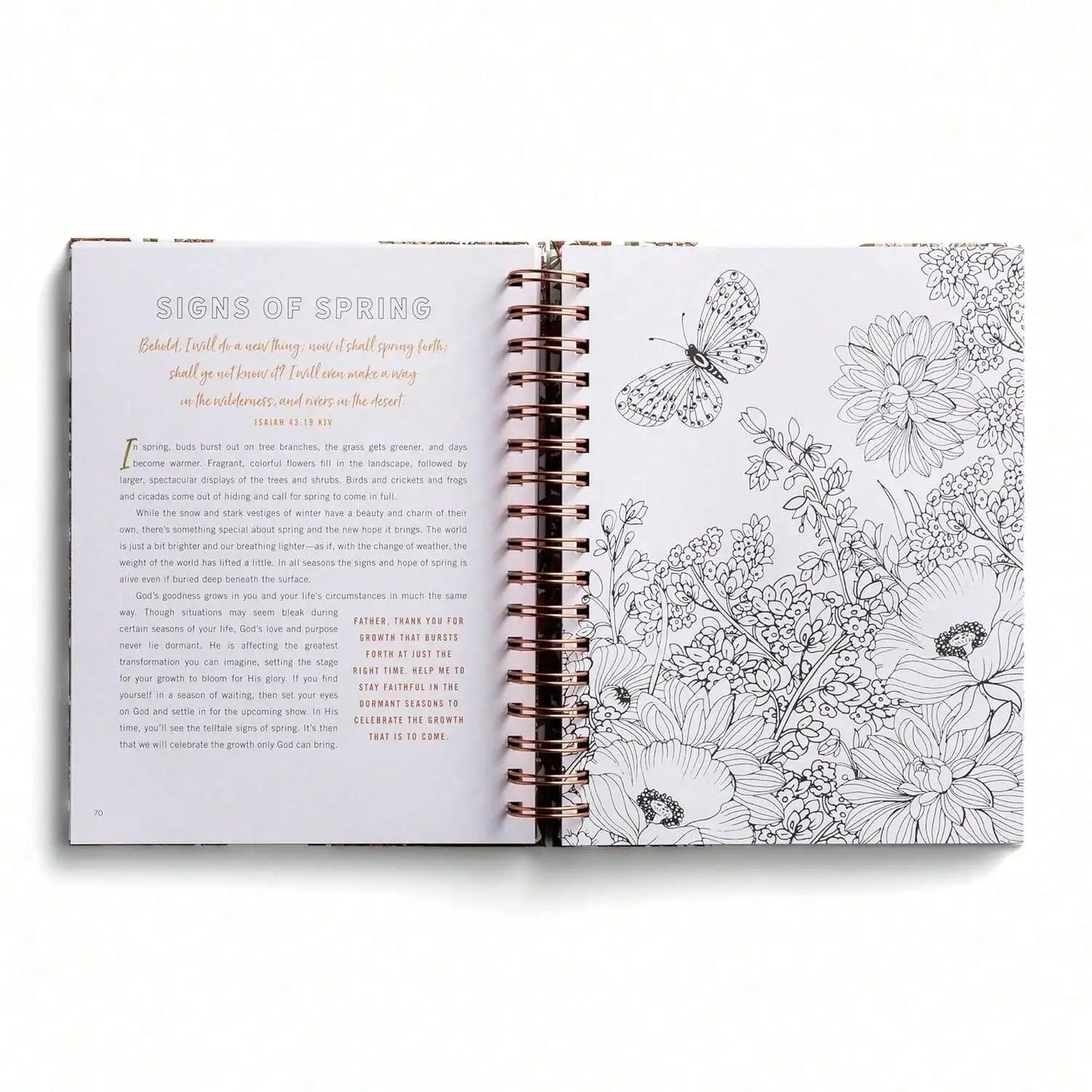 Relaxing Devotional Coloring Book