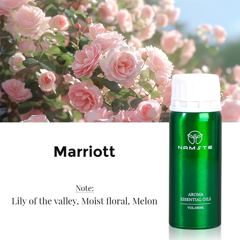 Electric Aromatic Hotel Essential Oil Diffuser