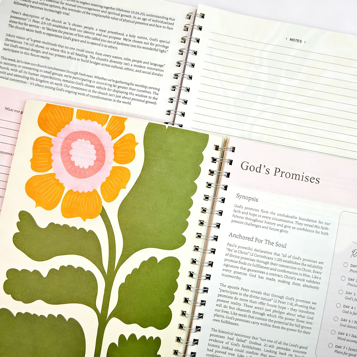 52 Weeks of Bible Wisdom: Daily Inspiration