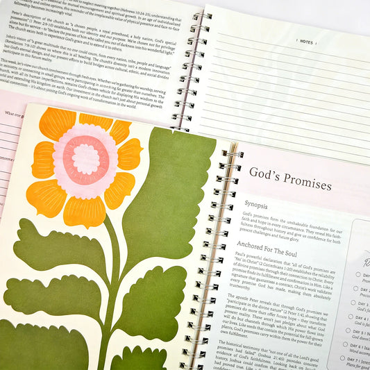 52 Weeks of Bible Wisdom: Daily Inspiration