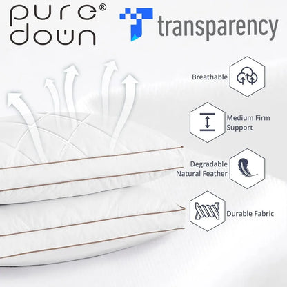 Goose Feather and Down Pillow Set of 2
