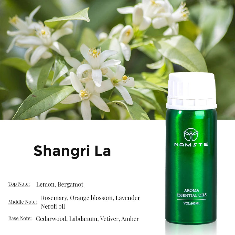 Electric Aromatic Hotel Essential Oil Diffuser